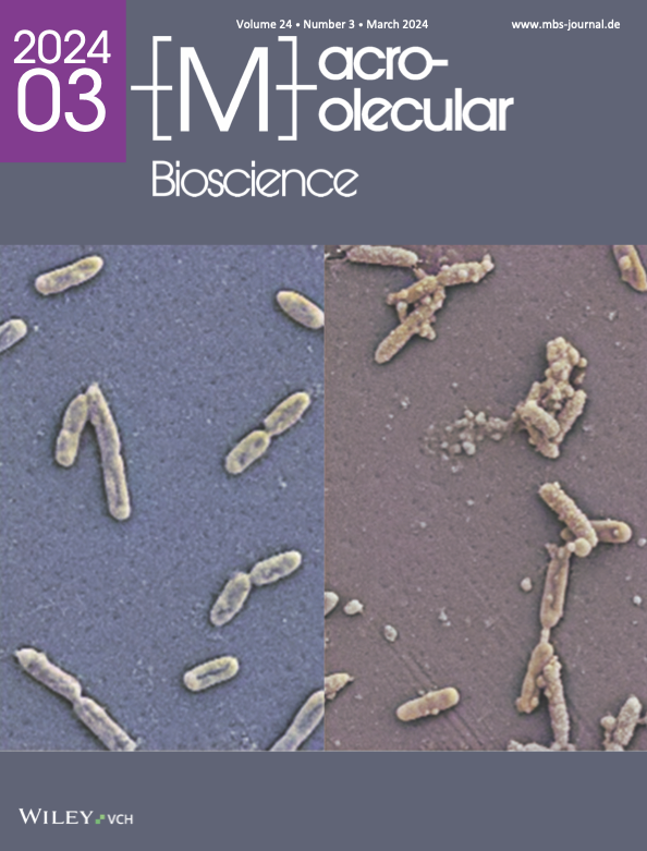 Cover illustration for Macromolecular Bioscience